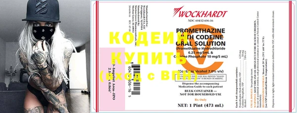 хмурый Гусев