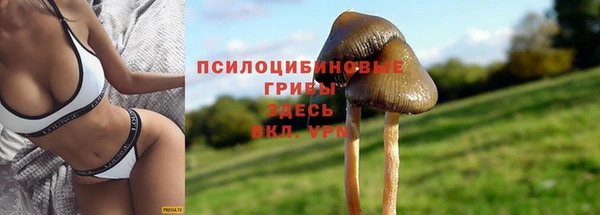 соль курить ск Гусиноозёрск
