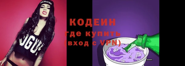 хмурый Гусев