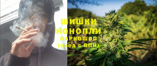 хмурый Гусев