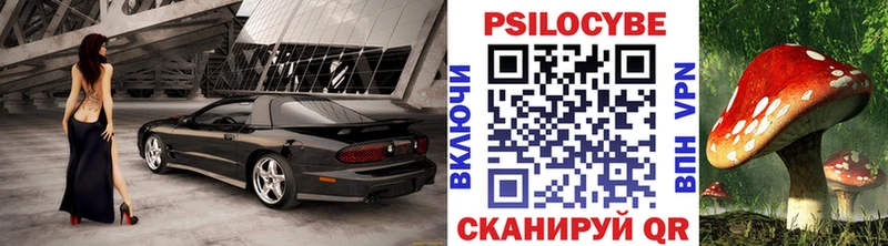 Псилоцибиновые грибы GOLDEN TEACHER  Купить  Тобольск 