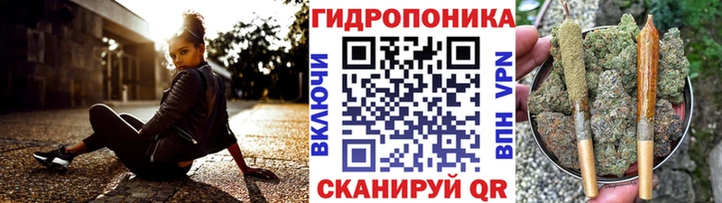 Купить где  Тобольск  Шишки марихуана OG Kush 